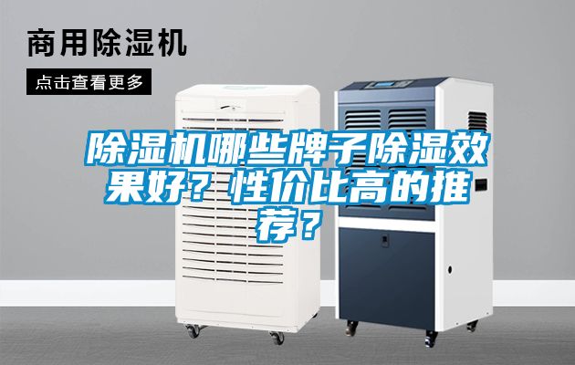 草莓视频下载网址哪些牌子除濕效果好？性價比高的推薦？