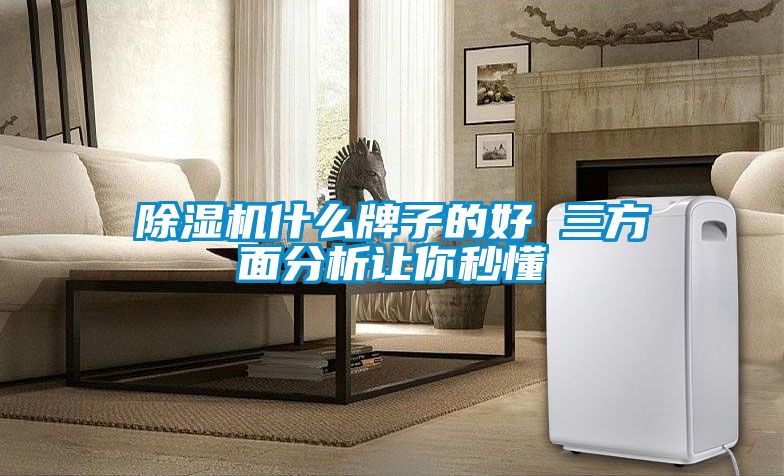 草莓视频下载网址什麽牌子的好 三方麵分析讓你秒懂