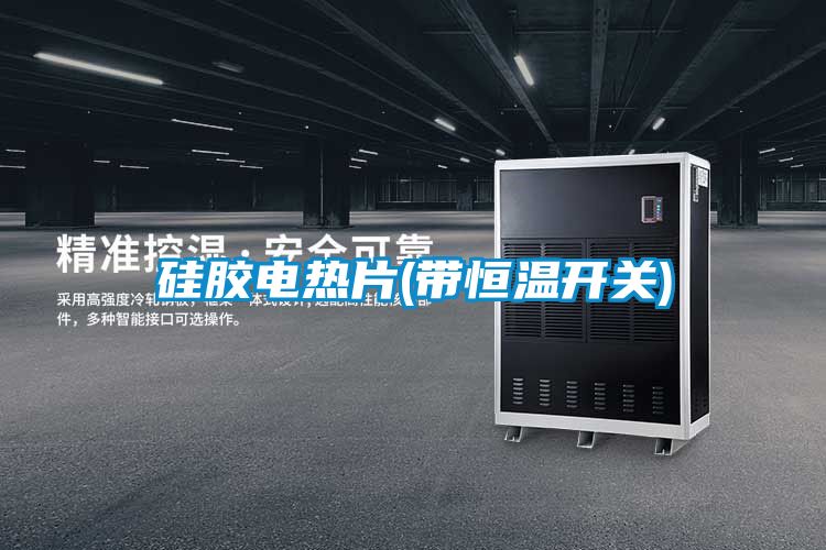 矽膠電熱片(帶恒溫開關)