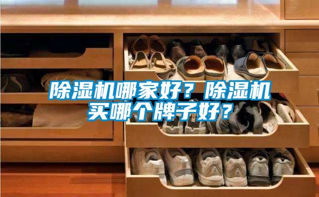 草莓视频下载网址哪家好？草莓视频下载网址買哪個牌子好？
