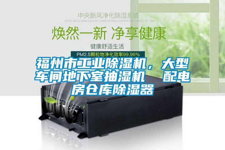 福州市工業草莓视频下载网址，大型車間地下室抽濕機  配電房倉庫除濕器