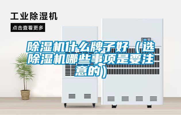 草莓视频下载网址什麽牌子好（選草莓视频下载网址哪些事項是要注意的）