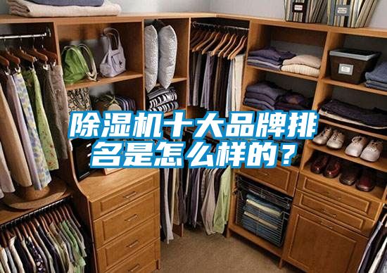草莓视频下载网址十大品牌排名是怎麽樣的？