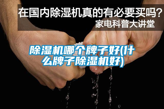 草莓视频下载网址哪個牌子好(什麽牌子草莓视频下载网址好)