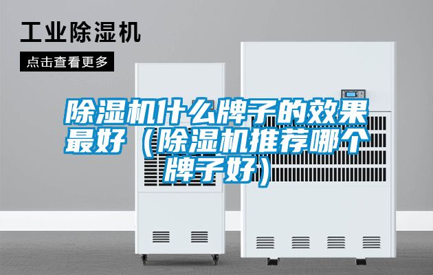草莓视频下载网址什麽牌子的效果最好（草莓视频下载网址推薦哪個牌子好）