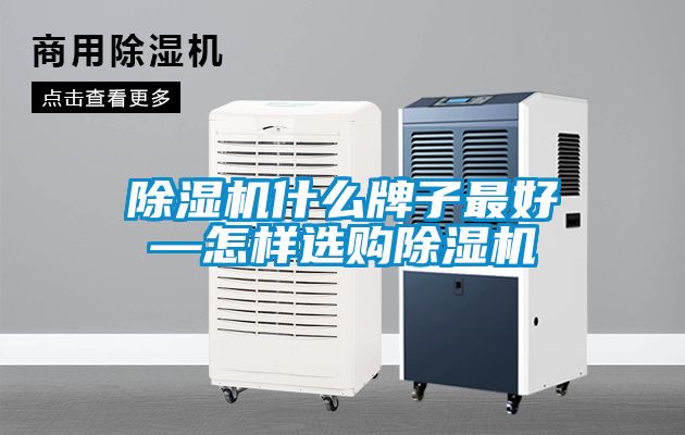 草莓视频下载网址什麽牌子最好—怎樣選購草莓视频下载网址