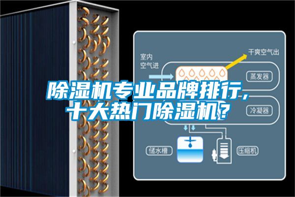 草莓视频下载网址專業品牌排行,十大熱門草莓视频下载网址？