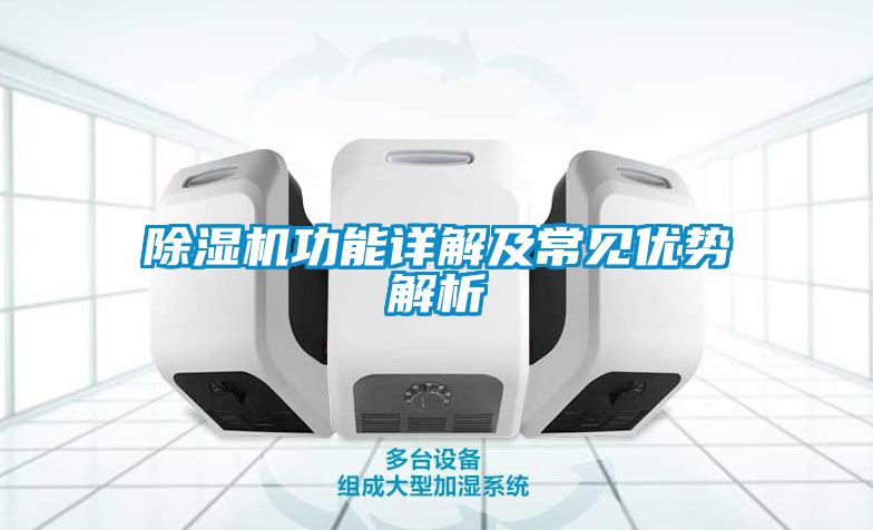 草莓视频下载网址功能詳解及常見優勢解析