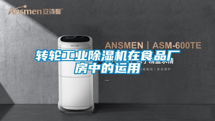 轉輪工業草莓视频下载网址在食品廠房中的運用