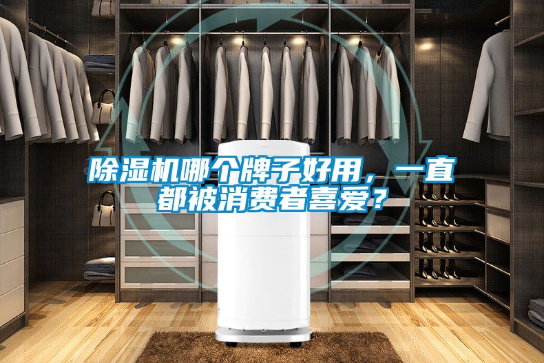 草莓视频下载网址哪個牌子好用，一直都被消費者喜愛？