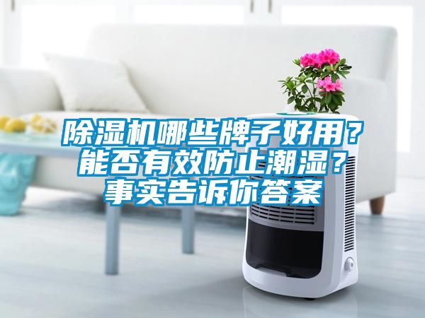 草莓视频下载网址哪些牌子好用？能否有效防止潮濕？事實告訴你答案