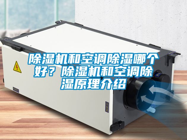 草莓视频下载网址和空調除濕哪個好？草莓视频下载网址和空調除濕原理介紹