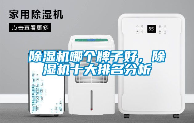草莓视频下载网址哪個牌子好，草莓视频下载网址十大排名分析