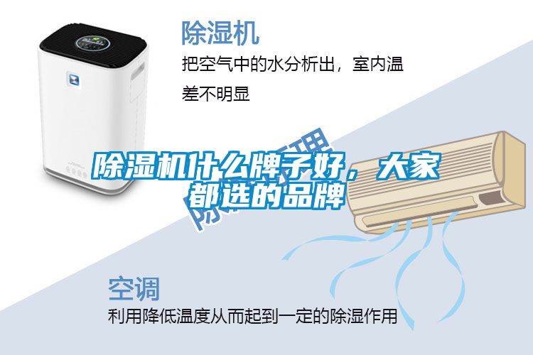 草莓视频下载网址什麽牌子好，大家都選的品牌