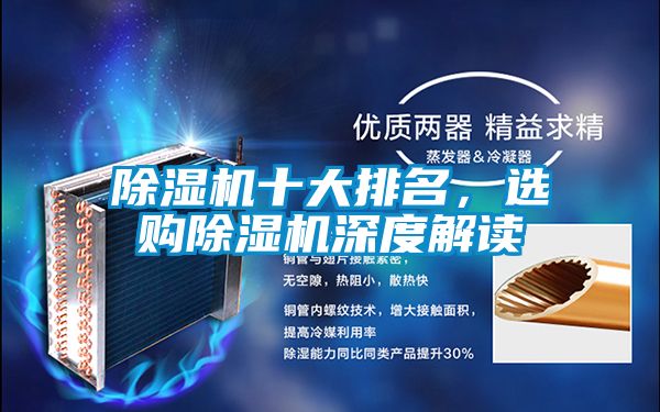 草莓视频下载网址十大排名，選購草莓视频下载网址深度解讀