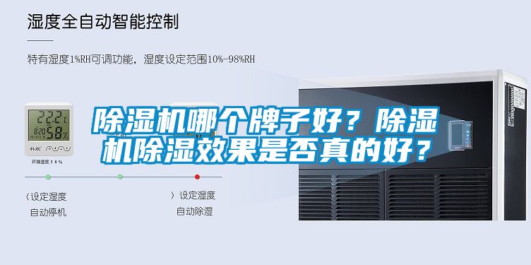 草莓视频下载网址哪個牌子好？草莓视频下载网址除濕效果是否真的好？