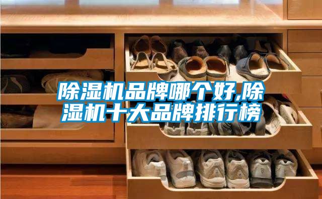 草莓视频下载网址品牌哪個好,草莓视频下载网址十大品牌排行榜