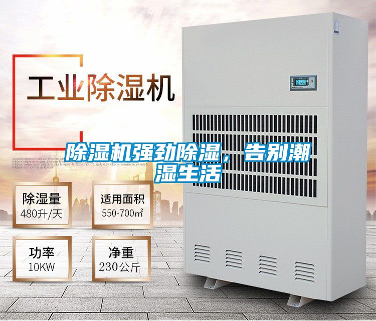 草莓视频下载网址強勁除濕，告別潮濕生活