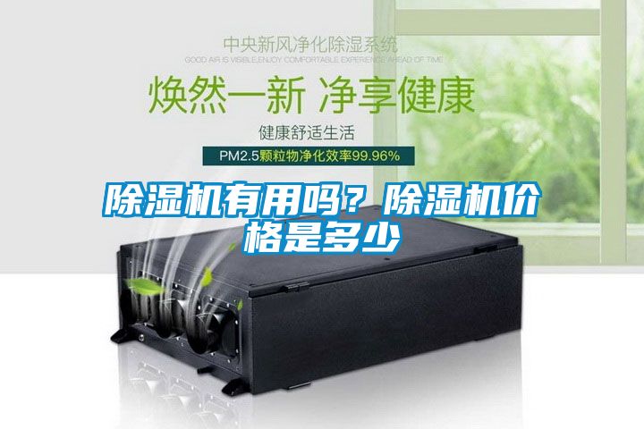 草莓视频下载网址有用嗎？草莓视频下载网址價格是多少