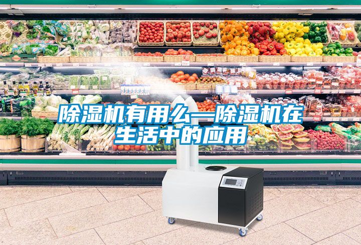 草莓视频下载网址有用麽—草莓视频下载网址在生活中的應用