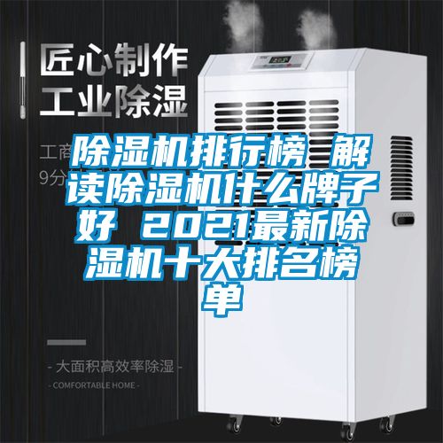 草莓视频下载网址排行榜 解讀草莓视频下载网址什麽牌子好 2021最新草莓视频下载网址十大排名榜單