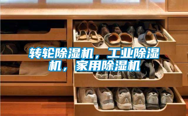 轉輪草莓视频下载网址，工業草莓视频下载网址，家用草莓视频下载网址
