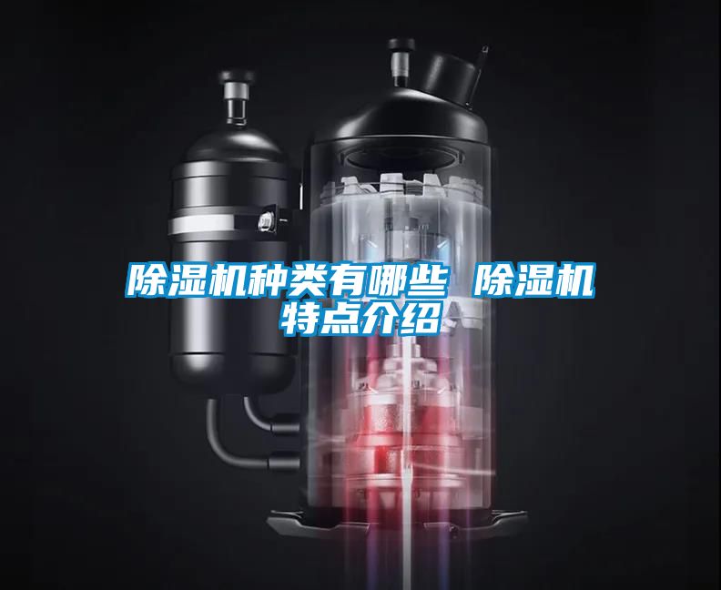 草莓视频下载网址種類有哪些 草莓视频下载网址特點介紹