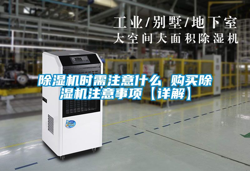 草莓视频下载网址時需注意什麽 購買草莓视频下载网址注意事項【詳解】
