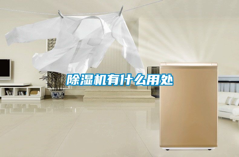 草莓视频下载网址有什麽用處