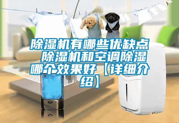 草莓视频下载网址有哪些優缺點 草莓视频下载网址和空調除濕哪個效果好【詳細介紹】
