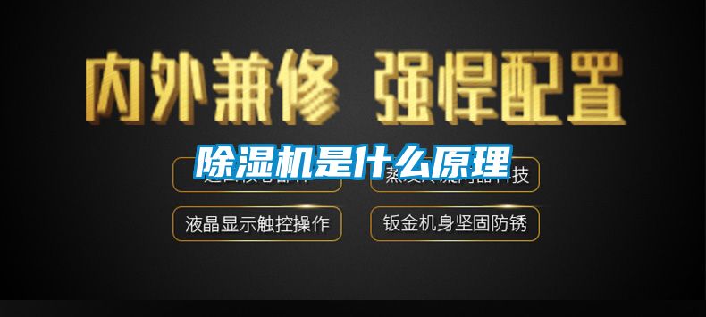 草莓视频下载网址是什麽原理