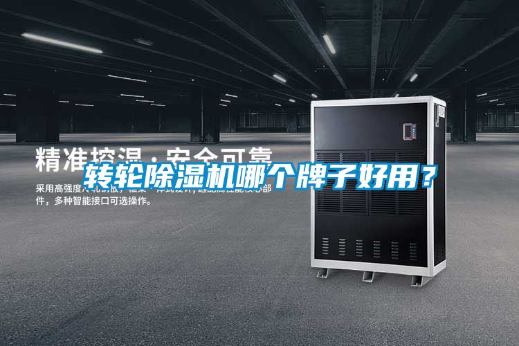 轉輪草莓视频下载网址哪個牌子好用？