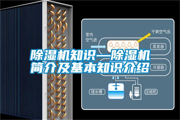 草莓视频下载网址知識—草莓视频下载网址簡介及基本知識介紹