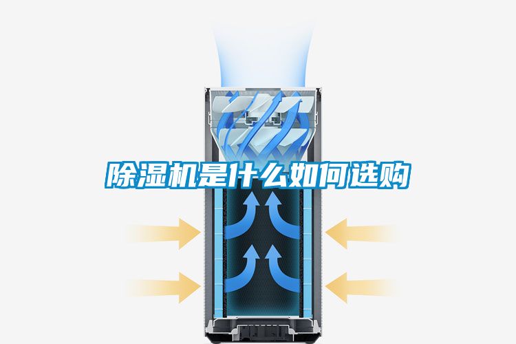 草莓视频下载网址是什麽如何選購