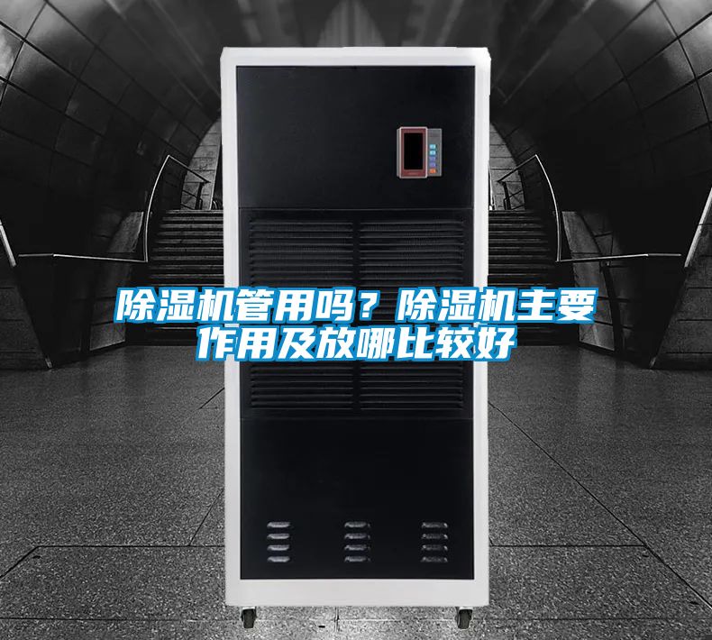 草莓视频下载网址管用嗎？草莓视频下载网址主要作用及放哪比較好
