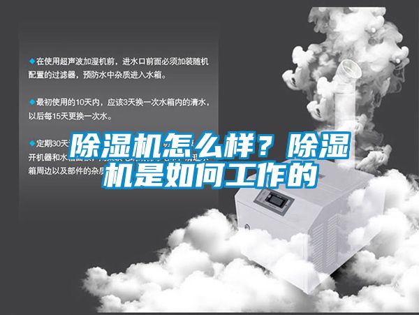草莓视频下载网址怎麽樣？草莓视频下载网址是如何工作的