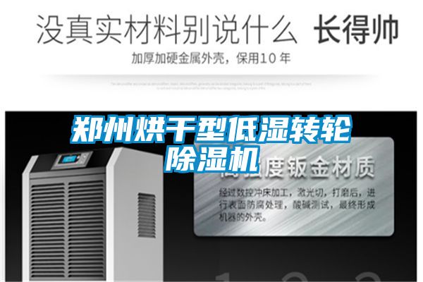 鄭州烘幹型低濕轉輪草莓视频下载网址
