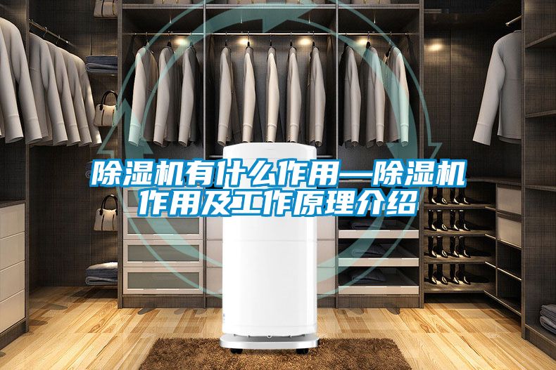 草莓视频下载网址有什麽作用—草莓视频下载网址作用及工作原理介紹