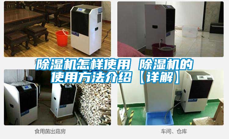 草莓视频下载网址怎樣使用 草莓视频下载网址的使用方法介紹【詳解】