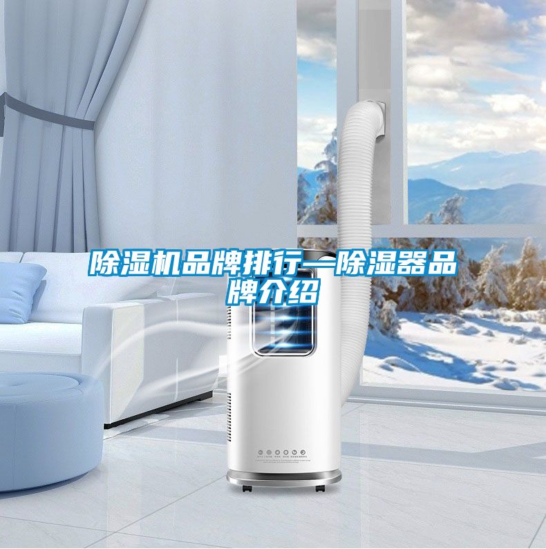 草莓视频下载网址品牌排行—除濕器品牌介紹