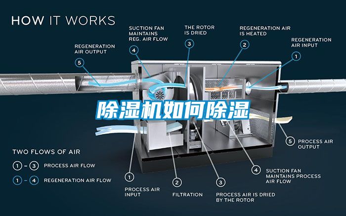 草莓视频下载网址如何除濕