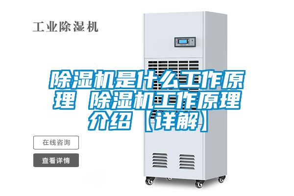 草莓视频下载网址是什麽工作原理 草莓视频下载网址工作原理介紹【詳解】
