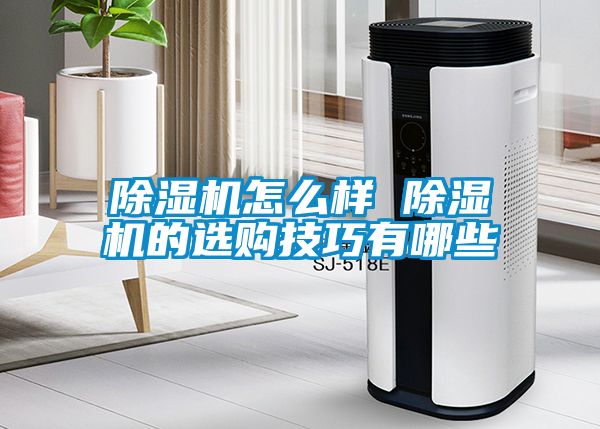草莓视频下载网址怎麽樣 草莓视频下载网址的選購技巧有哪些