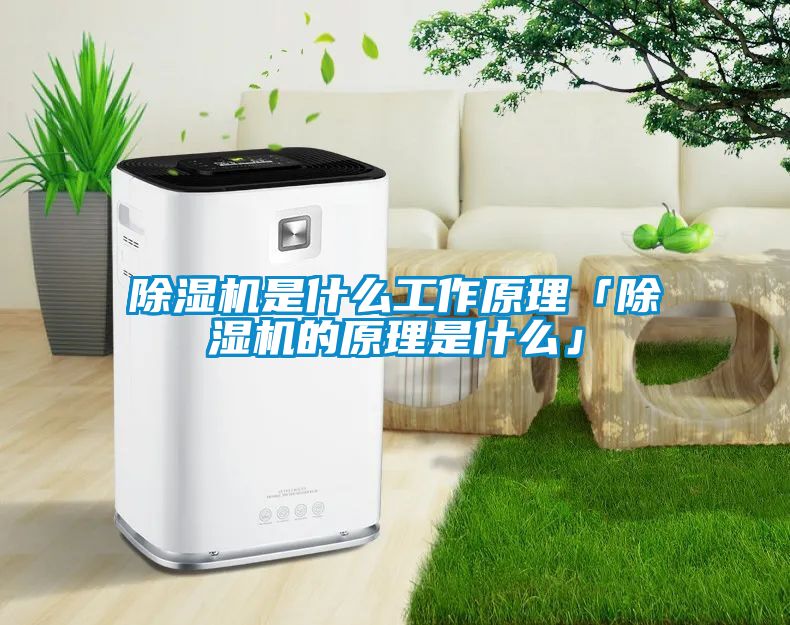 草莓视频下载网址是什麽工作原理「草莓视频下载网址的原理是什麽」