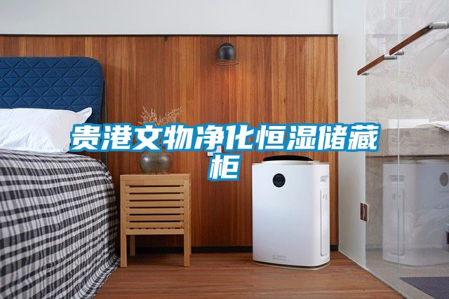 貴港文物淨化恒濕儲藏櫃