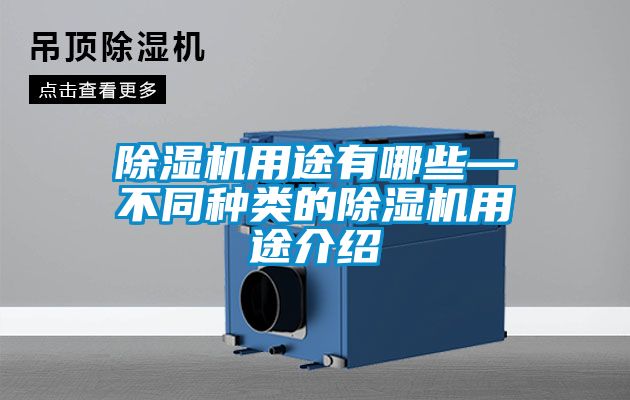 草莓视频下载网址用途有哪些—不同種類的草莓视频下载网址用途介紹