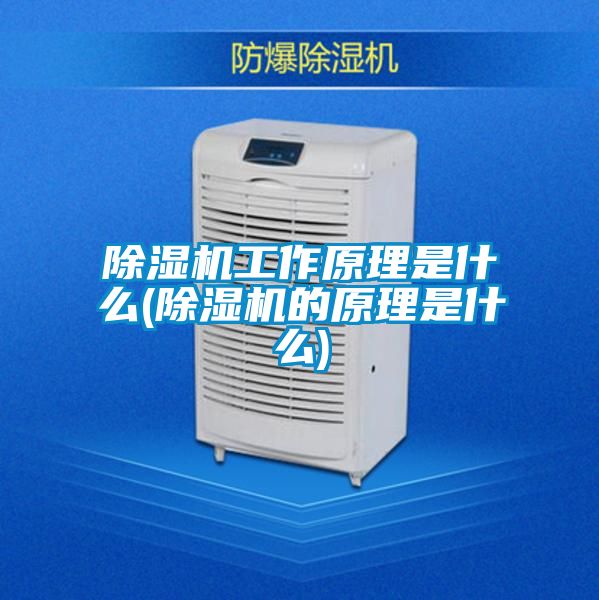 草莓视频下载网址工作原理是什麽(草莓视频下载网址的原理是什麽)