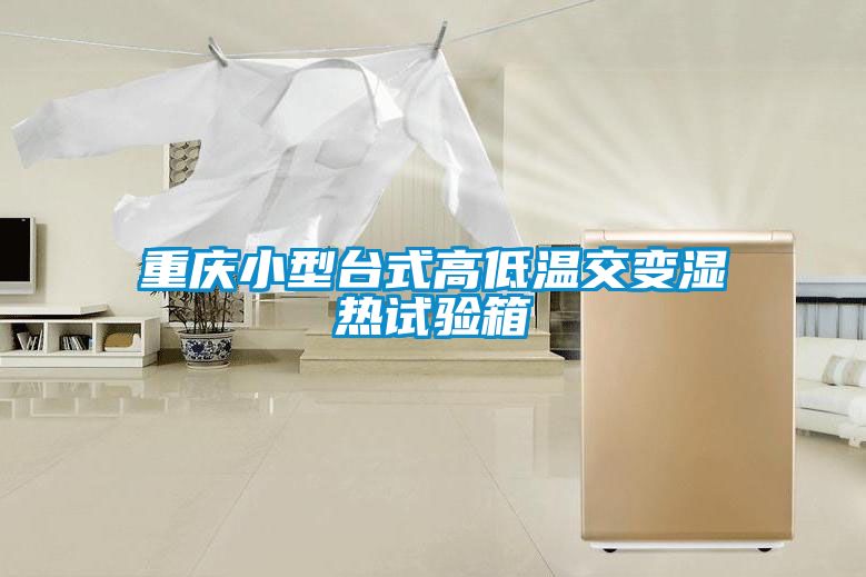 重慶小型台式高低溫交變濕熱試驗箱