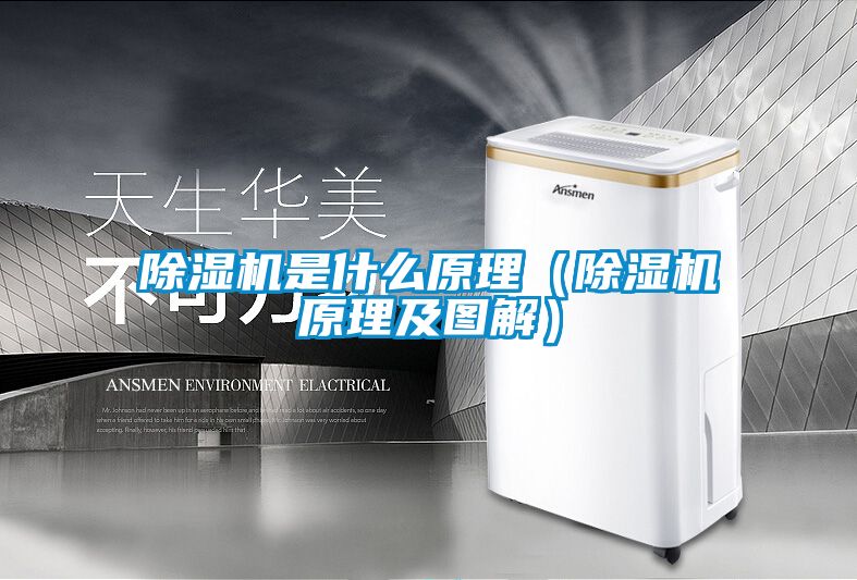 草莓视频下载网址是什麽原理（草莓视频下载网址原理及圖解）
