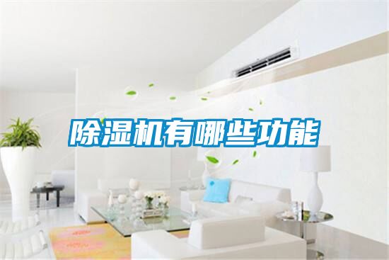 草莓视频下载网址有哪些功能